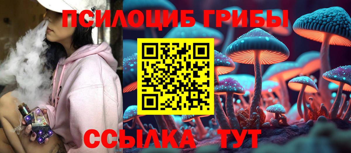 Большой Камень  Галлюциногенные грибы Psilocybe  Вход с VPN 